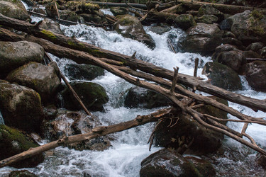 Similar image 6745237