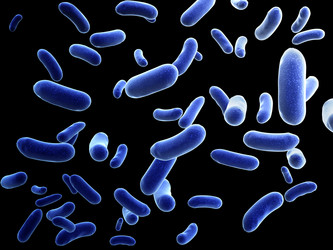 Similar image 6745500