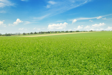 Similar image 6745516