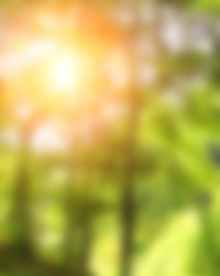 Similar image 6745520