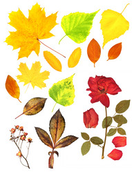 Similar image 6745524