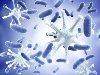 Similar image 6745533