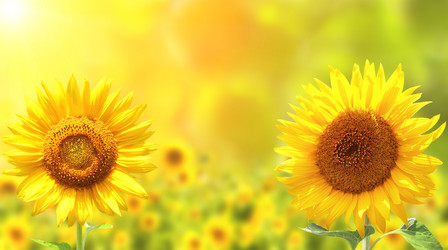 Similar image 6745540