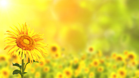 Similar image 6745542