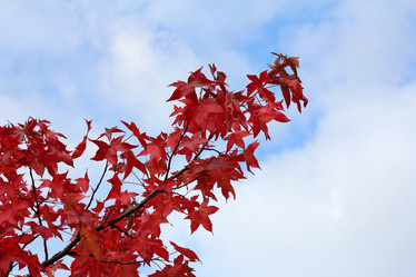 Similar image 6745565