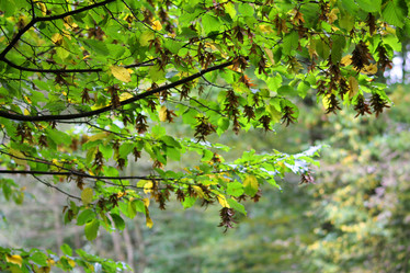 Similar image 6745570