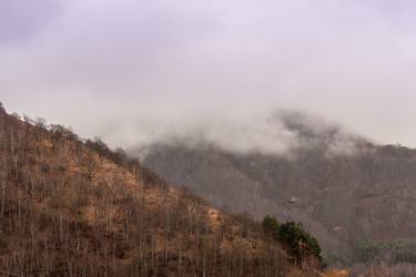 Similar image 6745572