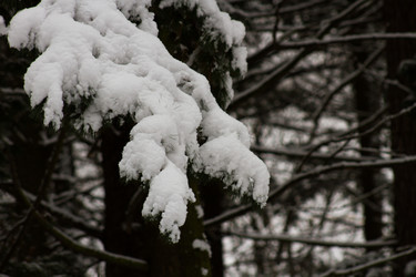 Similar image 6745581