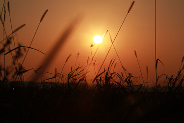 Similar image 6745586