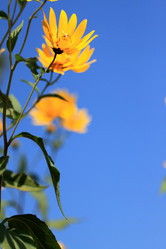 Similar image 6745587