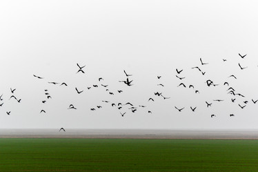 Similar image 6745592