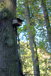 Similar image 6745597