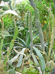 Similar image 6745611