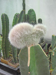 Similar image 6745612