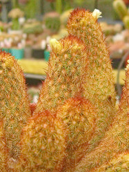 Similar image 6745614