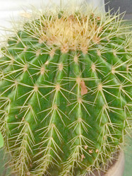 Similar image 6745616