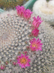 Similar image 6745617