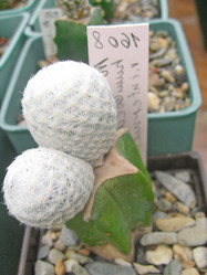 Similar image 6745618