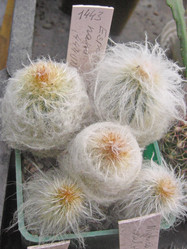 Similar image 6745620