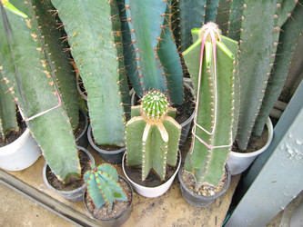 Similar image 6745623