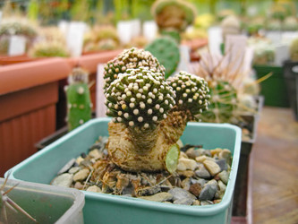 Similar image 6745624