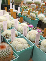 Similar image 6745626