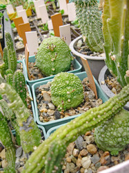 Similar image 6745628