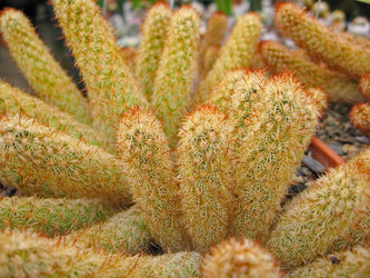 Similar image 6745629