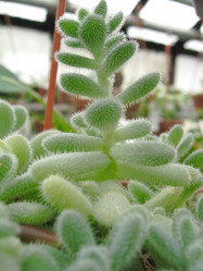 Similar image 6745671