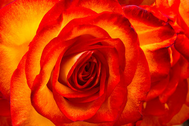 Similar image 6745710