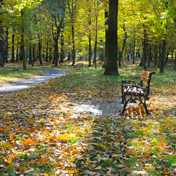 Similar image 6746166