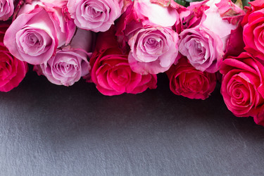 Similar image 6746178