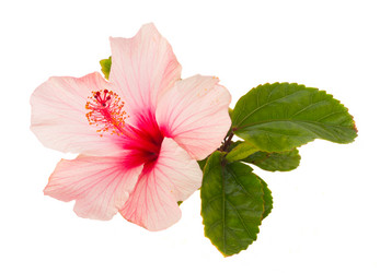 Similar image 6746207