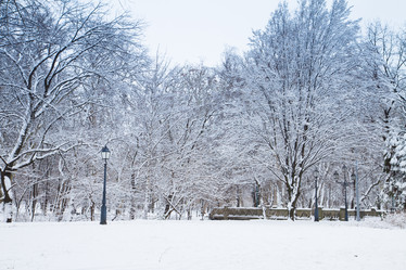 Similar image 6746238