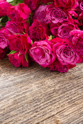 Similar image 6746240