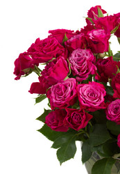 Similar image 6746241