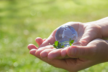 Similar image 6746244