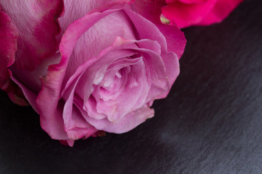 Similar image 6746259