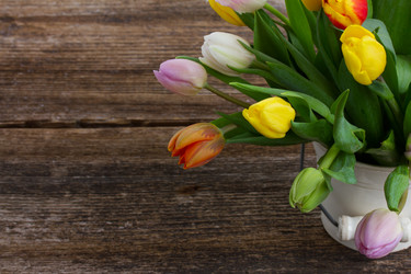 Similar image 6746267