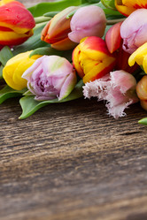 Similar image 6746268