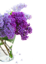 Similar image 6746297