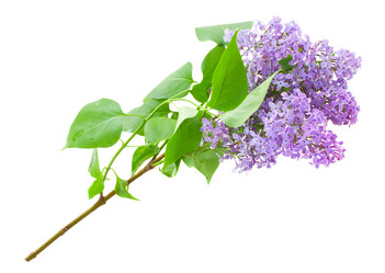 Similar image 6746302