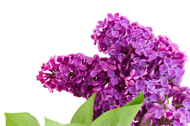 Similar image 6746307