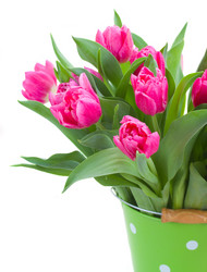 Similar image 6746325