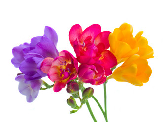 Similar image 6746328