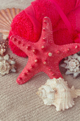 Similar image 6746333