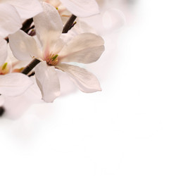 Similar image 6746334