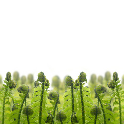 Similar image 6746335