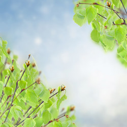 Similar image 6746336