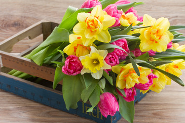 Similar image 6746344